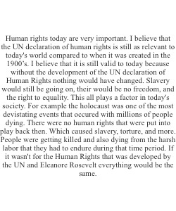 M10 - Assignment - Reflection of Human rights